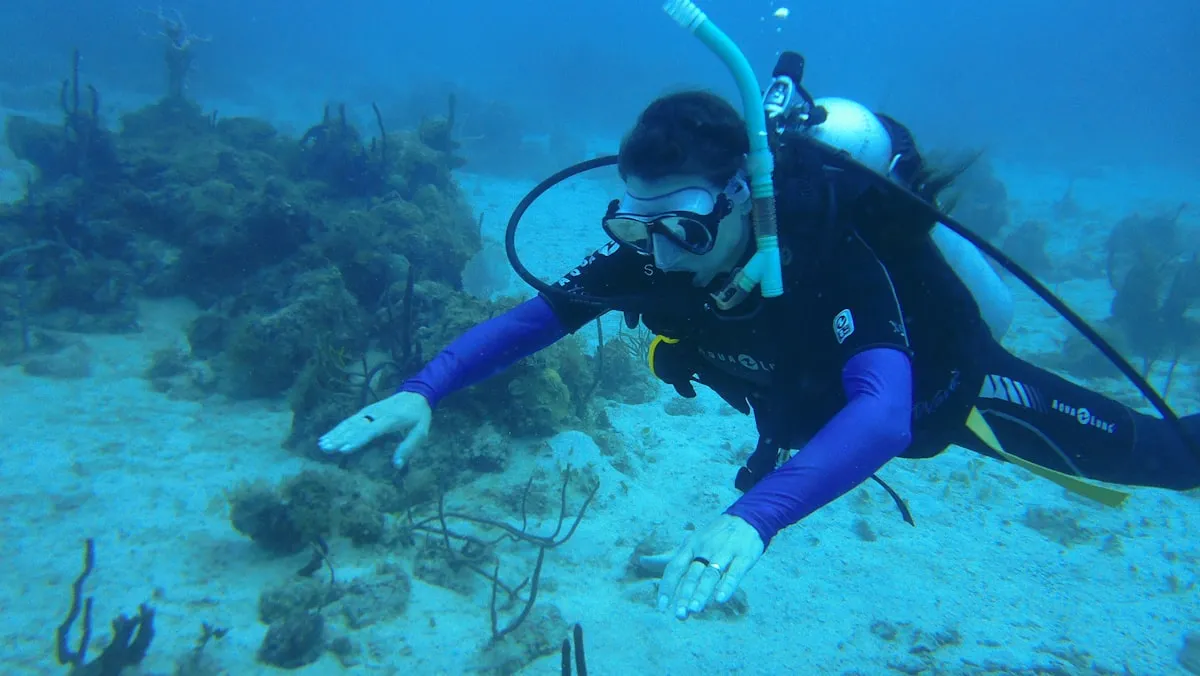 Scuba diver exploring colorful underwater coral reef