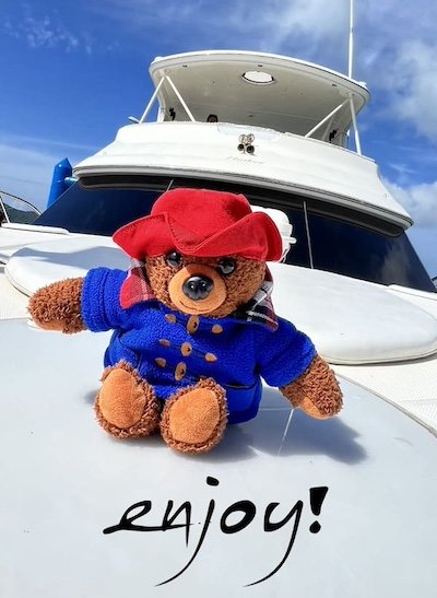 Mascot of Deep Blue Co. Ltd